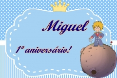 Aniversário 1 Ano- Pequeno Principe Miguel