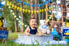 Aniversário Davi Lucca - 1 Ano 