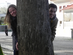 Chá Bar Flavia & Bruno