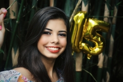 Bia 15 anos
