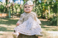 Meu 1º Aninho - Camilli