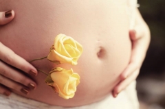 Chá de Fralda Virtual | Real da Violeta <3