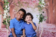 Aniversário Felipe e Fabrício